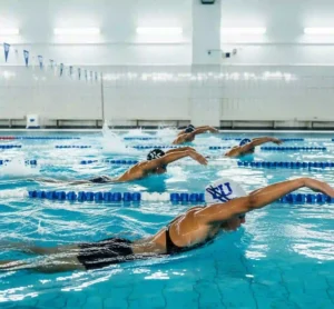 אימוני קרדיו: המפתח ללב בריא וגוף חיוני
